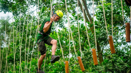 Vé Zipline + Highwire KDL Suối khoáng nóng Alba Thanh Tân