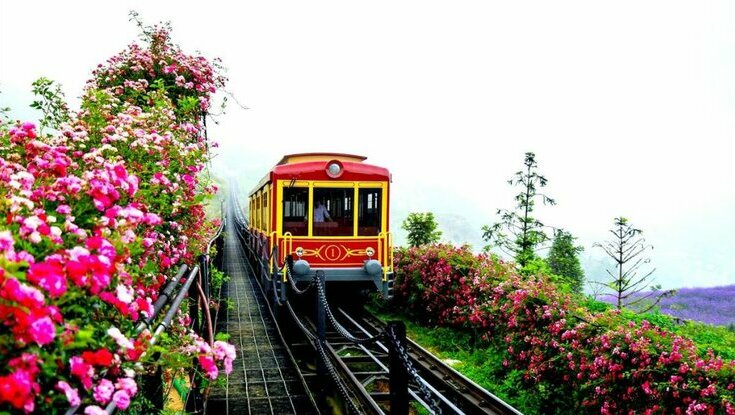 Vé tàu Mường Hoa