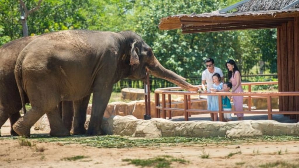 Du khách thích thú giao lưu cùng các loài động vật