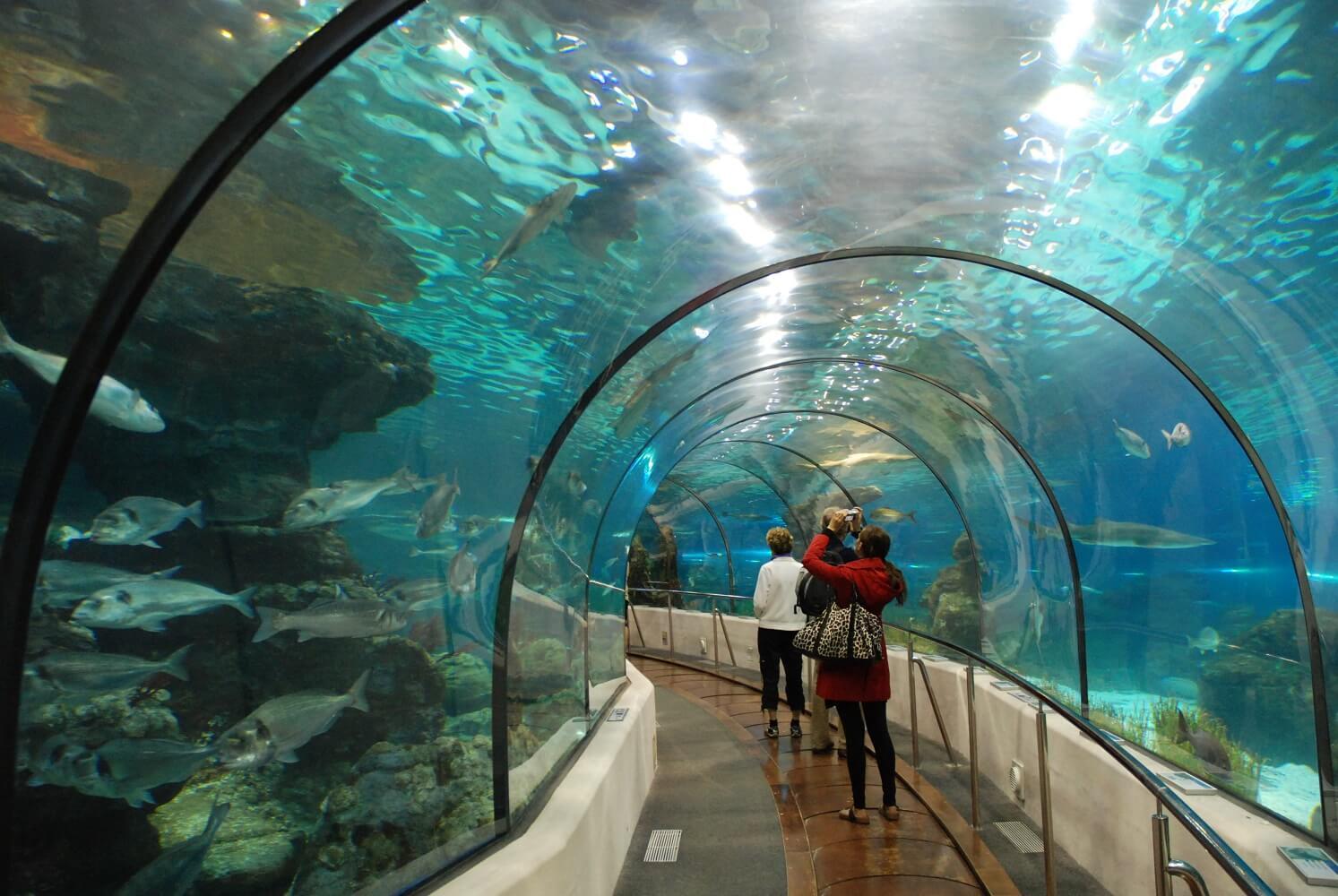 Thủy cung Aquarium Times City