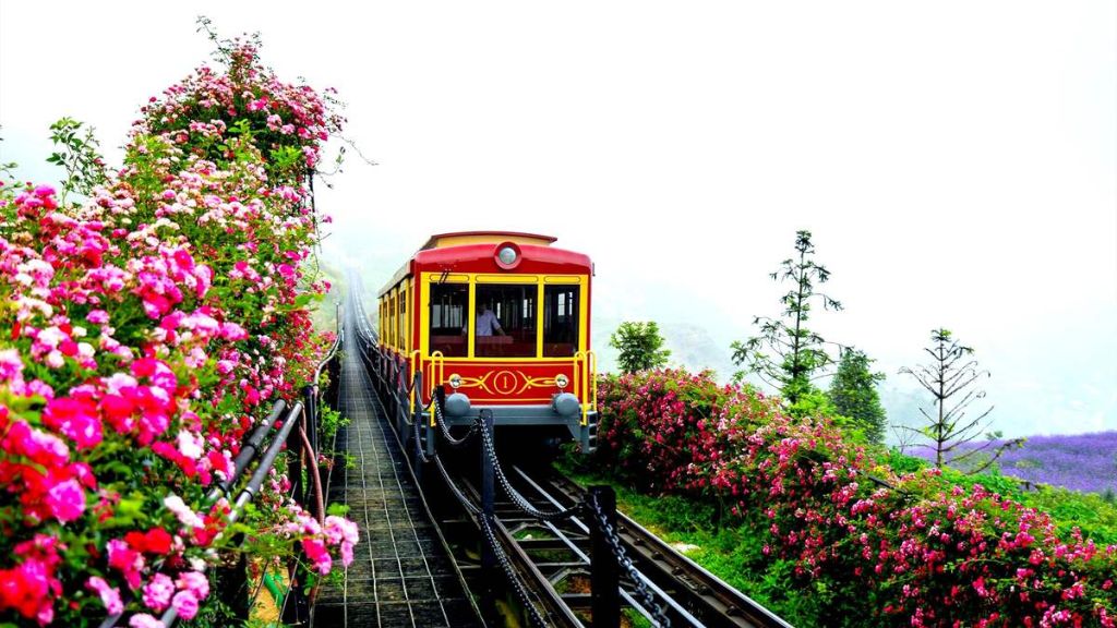 Vé tàu Mường Hoa