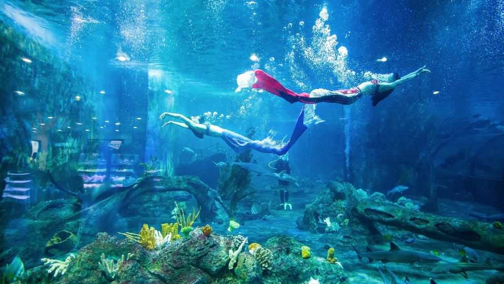 Show diễn nàng tiên cá tuyệt đẹp tại thủy cung Aquarium Times City