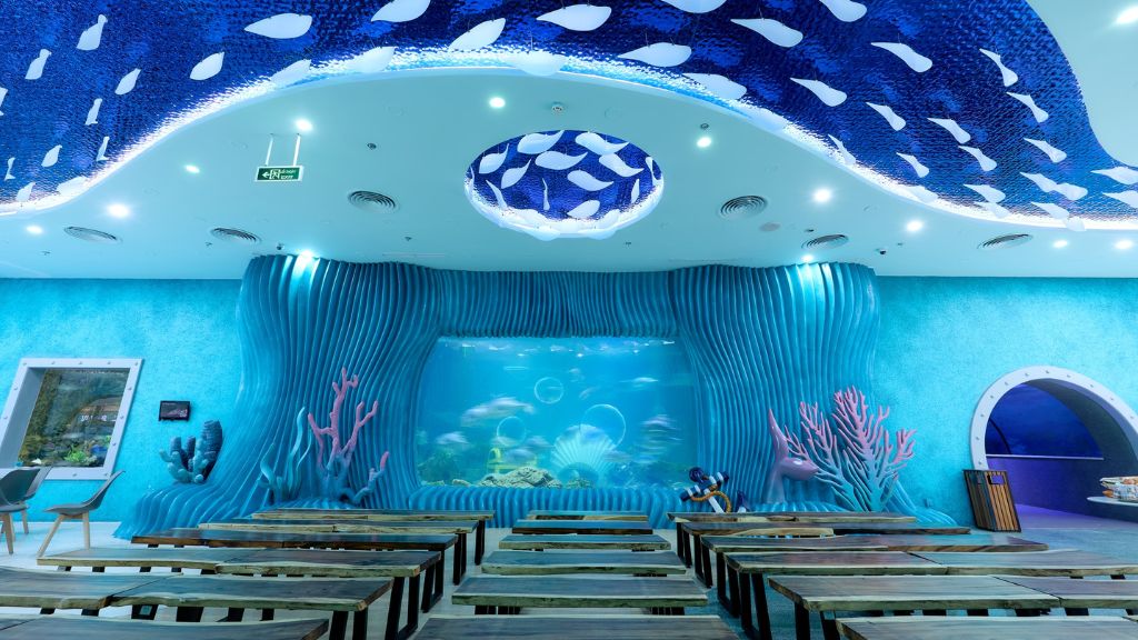 Tham quan thuỷ cung Aquarium Times City giữa lòng thủ đô