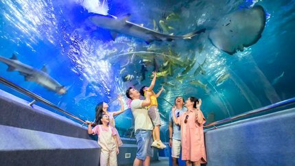 City tour 1 ngày: Khám phá Thành phố Nha Trang