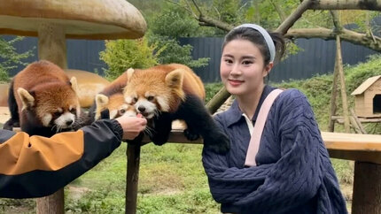 Dấu ấn đất Thục 6N5Đ: Hà Nội – Thành Đô – Cổ Trấn Lạc Đới – Cửu Trại Câu – Lạc Sơn Đại Phật| No Shopping