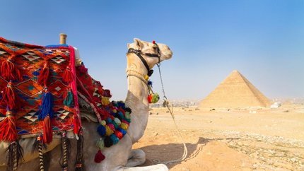 Du lịch Ai Cập 8N7Đ: Cairo – Du thuyền sông Nile - Aswan – Kom Ombo – Edfu – Luxor – Đảo Giftun