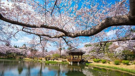 Du Lịch Busan - Seoul: Ngắm Làng Bích Họa Gamcheon 6N5Đ