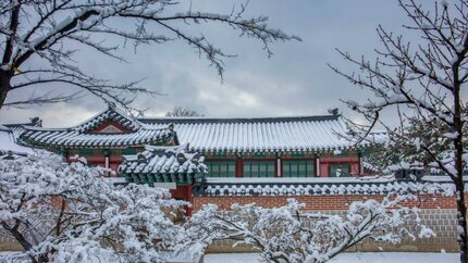 Du Lịch Hàn Quốc 5N4Đ: Hà Nội - Seoul - Nami -  Công Viên Everland (Vietnam Airlines)