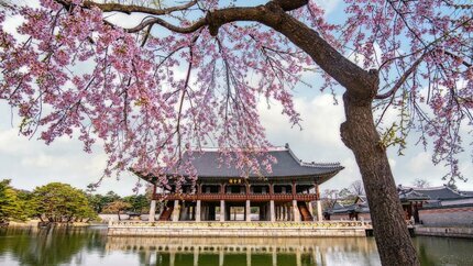 Du Lịch Hàn Quốc 5N4Đ: Hà Nội - Seoul - Nami -  Công Viên Everland (Vietnam Airlines)