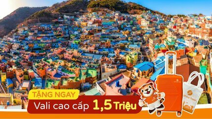 Du lịch Hàn Quốc: Hà Nội - Busan - Seoul - Nami - Incheon 6N5Đ