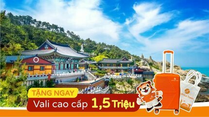 Du lịch Hàn Quốc: Hà Nội - Busan - Seoul - Nami - Incheon 6N5Đ