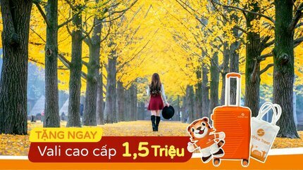 Du Lịch Hàn Quốc Mùa Lá Đỏ 5N4Đ (Từ Hà Nội)