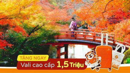 Du Lịch Nhật Bản 6 Ngày: Khám Phá Thiên Nhiên và Văn Hóa Xứ Phù Tang (Bay Vietnam Airlines 4*)