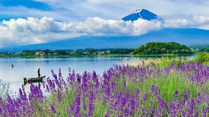 Du Lịch Nhật Bản 6N5Đ: HN - Tokyo - Cố Đô Kyoto - Osaka