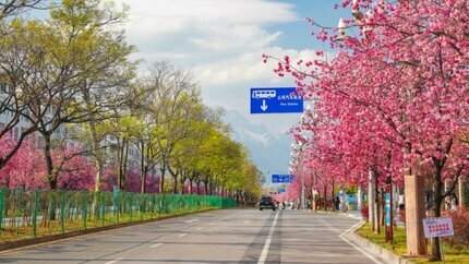 Du Lịch Vân Nam 5N4Đ: Hà Nội - Lệ Giang - Shangrila (Bay thẳng Bamboo Airways)