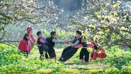 Du Xuân - Cầu An: Cao Nguyên Mộc Châu 2 Ngày 1 Đêm