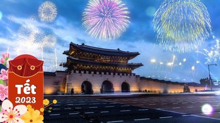 Du Xuân Hàn Quốc Trải Nghiệm Mùa Hoa Tuyết: Seoul - Nami - Lotte World 5N4Đ