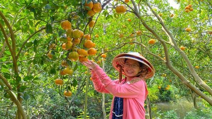 Du Xuân Miền Tây 1 ngày: Sài Gòn - Mỹ Tho - Bến Tre