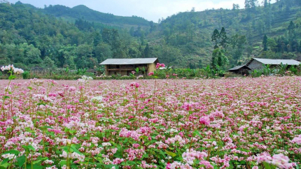 Hà Giang - Hồ Ba Bể - Thác Bản Giốc - Pác Bó 5N4Đ
