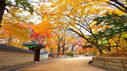 Hà Nội - Hàn Quốc - Đảo Jeju 5N4Đ: Khám phá hòn đảo ngọc giữa biển