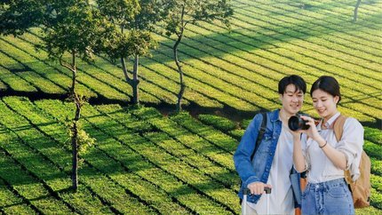 Hà Nội - Pleiku - Buôn Ma Thuột 4N3Đ (Vietnam Airlines)