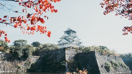 Hà Nội - Tokyo - Núi Phú Sĩ - Kyoto - Osaka - Nagoya 6N5Đ (Bay Vietnam Airlines)