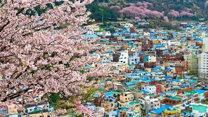 Hải Phòng - Busan - Seoul - Nami - Incheon 6N5Đ (Bay Vietnam Airlines)
