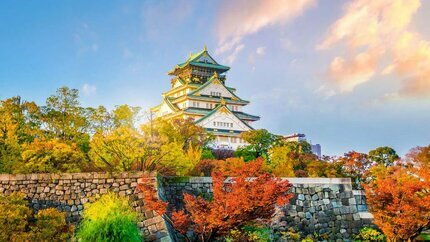 Tour Hot Lá Đỏ Nhật Bản 2025 – Lịch Đẹp Nhất, Giá Tốt Nhất