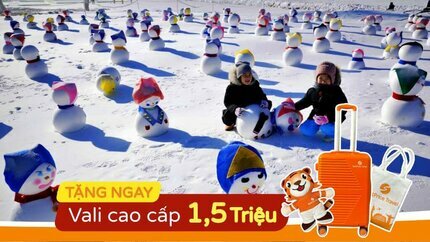 Hành Trình Yêu Thích: Tour Busan - Gyeongju - Ulsanl - Seoul 6N5Đ (Bay Vietnam Airlines)