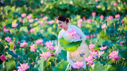 Hồ Chí Minh - Đồng Tháp - Sa Đéc - Tràm Chim 2N1Đ