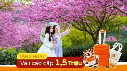 Hồ Chí Minh - Thượng Hải - Bắc Kinh - Hàng Châu - Ô Trấn 7N6Đ