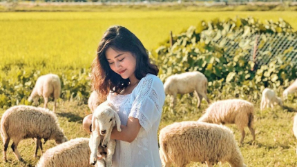 Hồ Chí Minh - Vũng Tàu - Nông Trại Cừu 2N1Đ