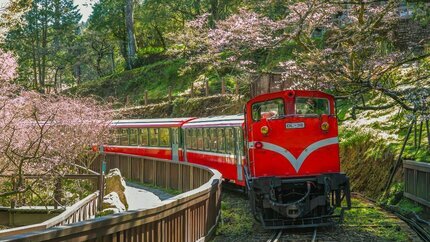 Khám Phá Đài Loan Dịp 30 Tháng 4: Alishan - Đài Trung - Đài Bắc 5N4Đ (Bay Vietjet)