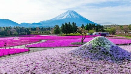 Kỳ Nghỉ 30/4 Nhật Bản No Shopping 6N5Đ: Kobe - Osaka - Kyoto - Nagoya - Phú Sĩ - Tokyo 6N5Đ