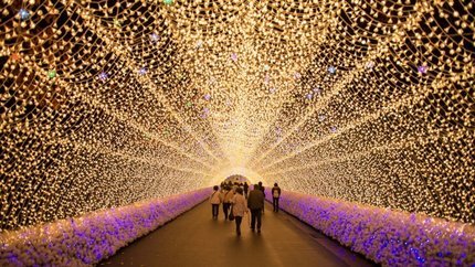 Du lịch Lễ hội ánh sáng Nabana no Sato - Nhật Bản