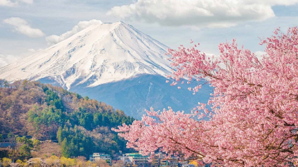 Khám phá Nhật Bản mùa hoa anh đào: Hà Nội - Osaka - Kobe - Kyoto - Phú Sỹ - Tokyo 6N5Đ