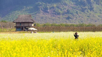 Tour Tết Tây Bắc 5N5Đ: Sapa - Lai Châu - Điện Biên - Sơn La - Mộc Châu