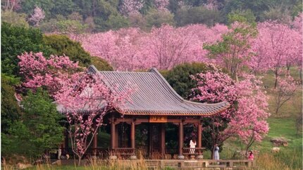 Khám Phá Trung Hoa 4N3Đ: Hà Nội - Nam Ninh - Quế Lâm - Dương Sóc