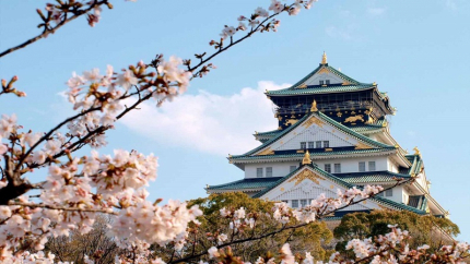 Mùa hoa anh đào: Hồ Chí Minh - Kyoto - Osaka - Kobe - Nagoya - Yamanashi - Tokyo 6N5Đ