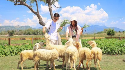 Nha Trang: Vườn Nho - Đồng Cừu - Hang Rái 4N3Đ
