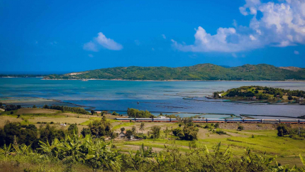 Phú Yên - Hoa vàng trên cỏ xanh