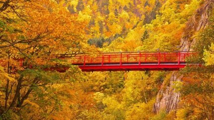 [Lá Đỏ] Rực Rỡ Thu Vàng Xứ Tohoku 8N7Đ: Aomori - Hirosaki - Miyagi - Tochigi