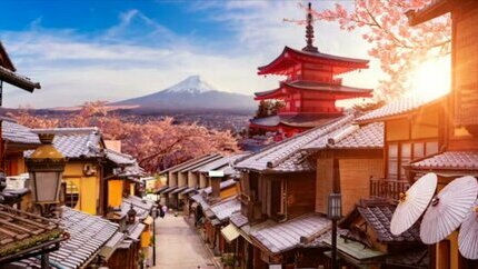 Tour 1 Ngày Kyoto – Nara: Tuyến Vàng Lịch Sử & Thiên Nhiên Nhật Bản