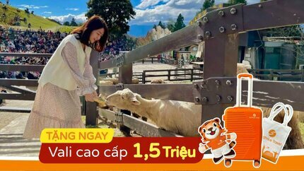 Tour Đài Loan từ HCM: Đài Trung - Cao Hùng - Đài Bắc - Nông trường Thanh Cảnh