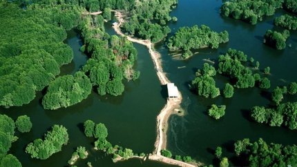 Du Lịch Cần Giờ 2N1Đ: Tour Riêng Đoàn, Công ty