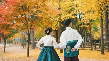 Tour Hàn Quốc 5N4Đ từ Hải Phòng: Seoul - Nami -  Công Viên Everland