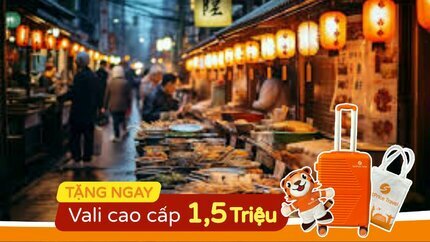 Tour Du Lịch Nhật Bản 2024: Hà Nội - Osaka - Kyoto - Tokyo 6N5Đ