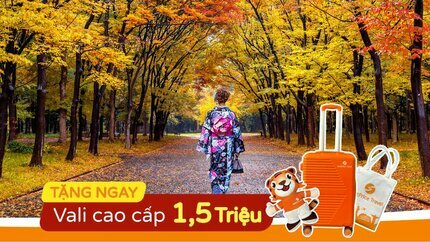 Tour du lịch Nhật Bản - Mùa Thu Lá Đỏ 5N5Đ: Osaka - Kyoto - Tokyo