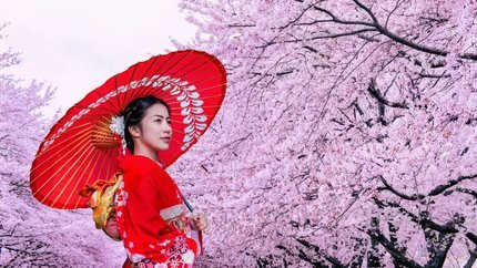 Tour Du Lịch Nhật Bản Hoa Anh Đào 2024: Hà Nội - Osaka - Kyoto - Tokyo 6N5Đ