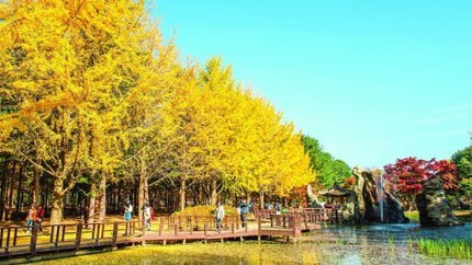 Tour Hàn Quốc Giá Rẻ: HCM - Seoul - Nami 5N4Đ